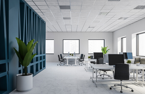 Commercial Property